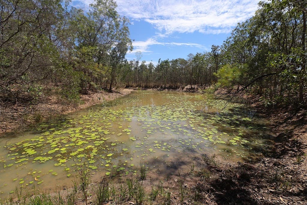 307 Blue Mountain Drive, Bluewater Park, QLD, 4818, Bluewater Park - Thumbnail 2