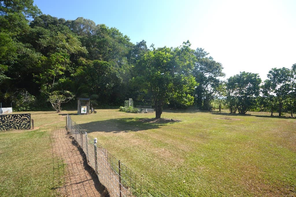 164 Gangemi Road, Lower Cowley, QLD, 4871, Lower Cowley - Thumbnail 8