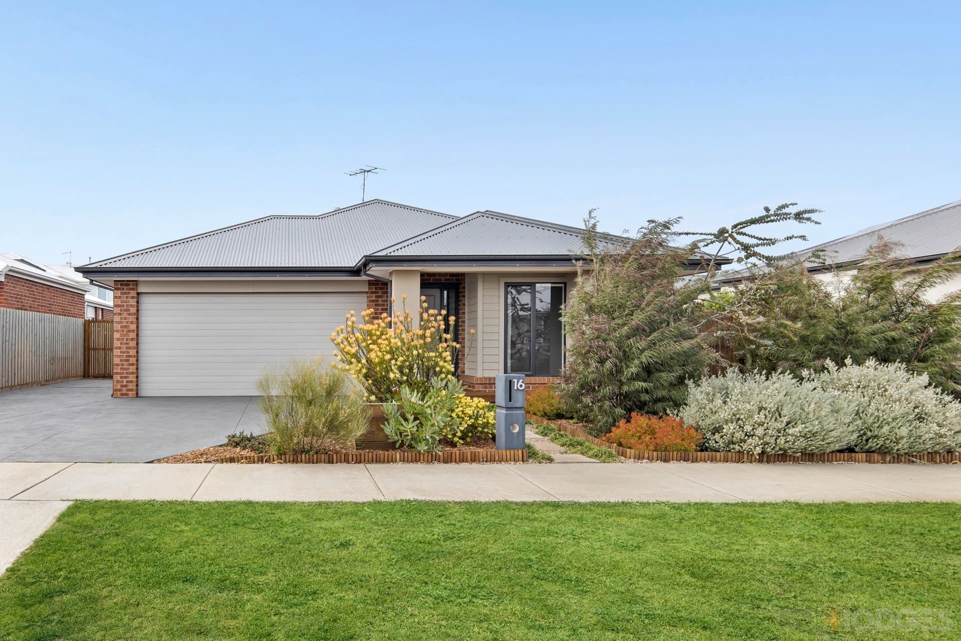 16 Joanna Street, Ocean Grove, VIC, 3226, Ocean Grove - Image 1