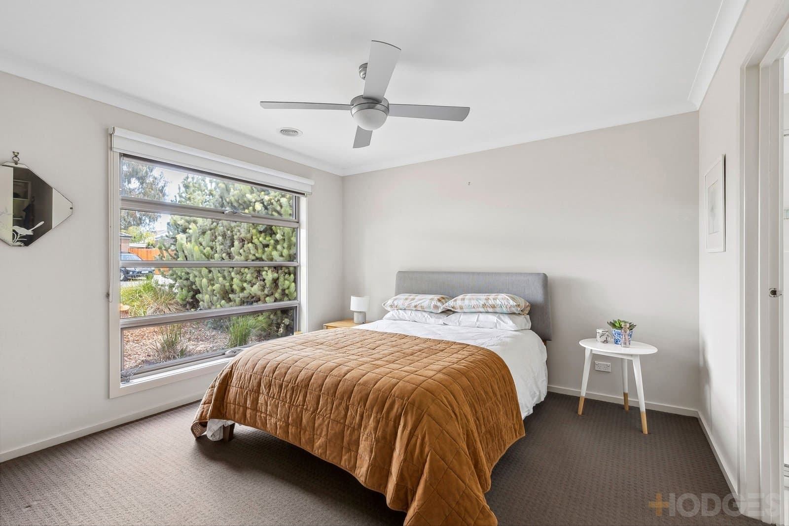 6 Allanby Way, Ocean Grove, VIC, 3226, Ocean Grove - Thumbnail 8