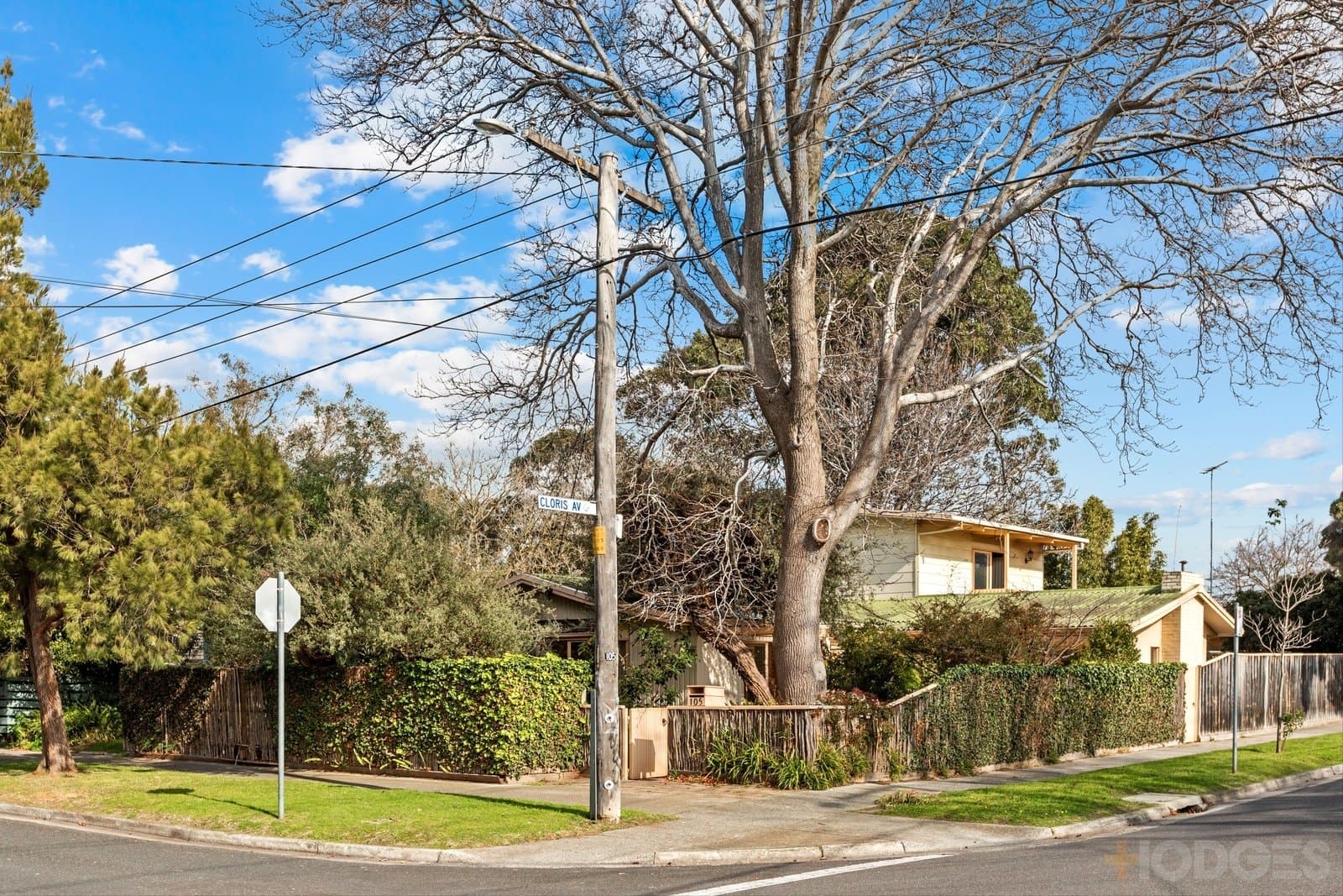105 Pellatt Street, Beaumaris, VIC, 3193, Beaumaris - Image 1