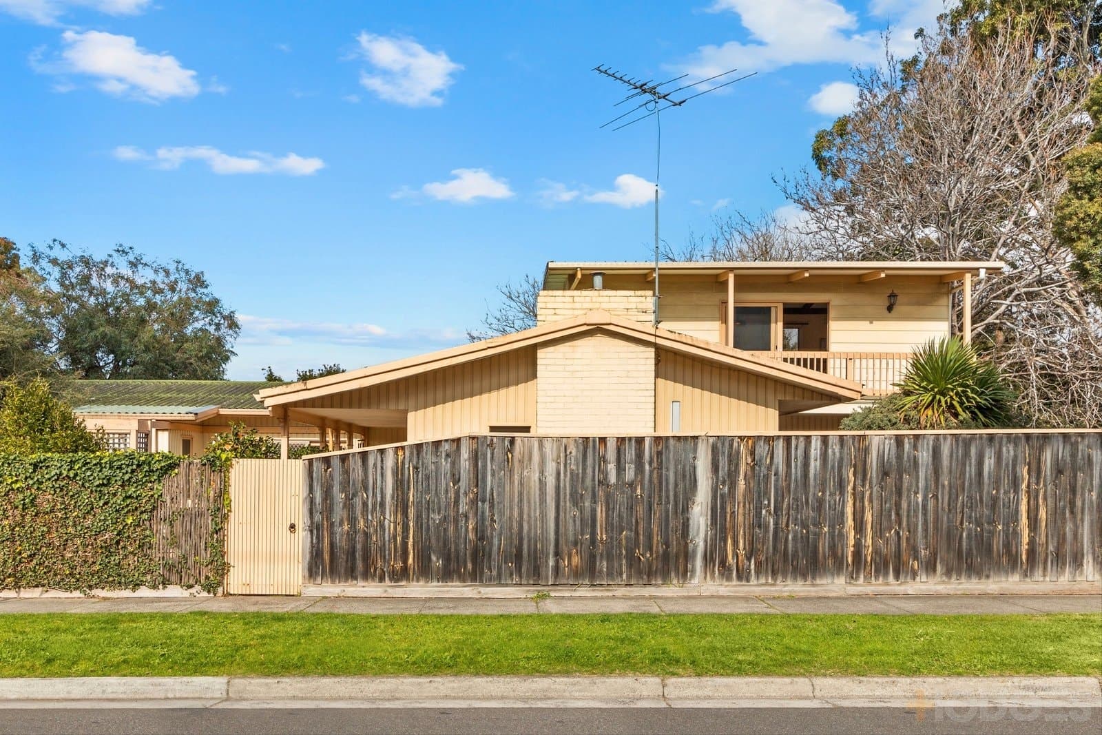 105 Pellatt Street, Beaumaris, VIC, 3193, Beaumaris - Thumbnail 2