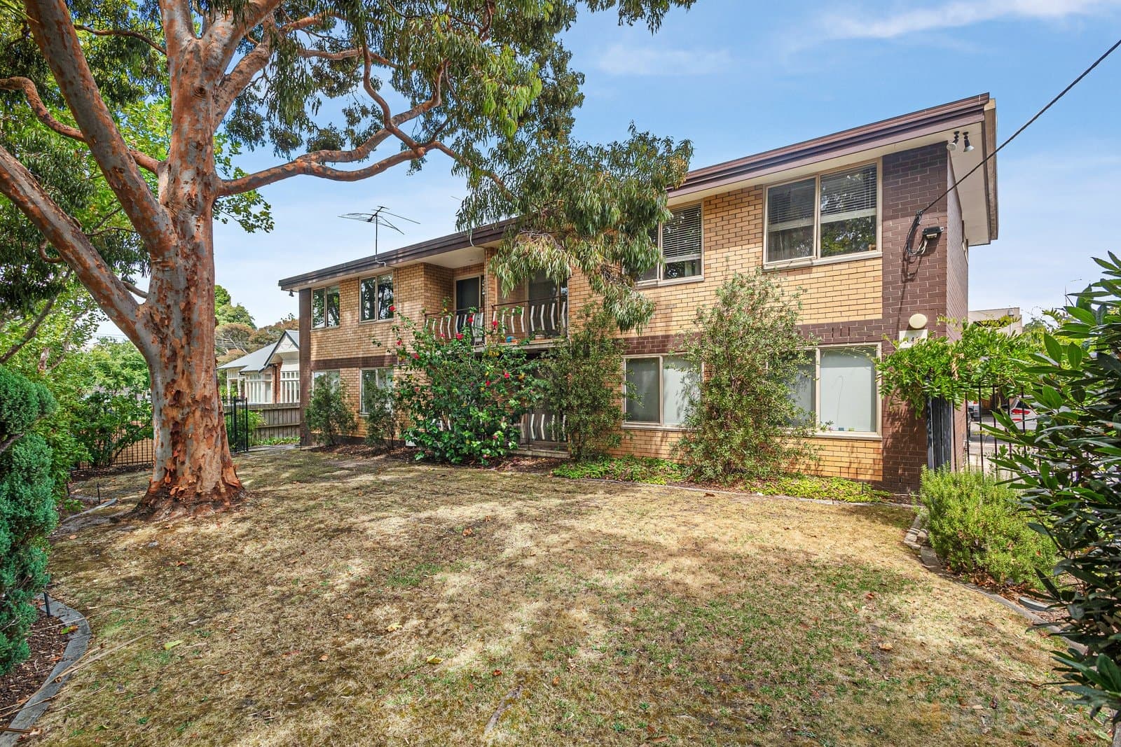 1 / 146 Milton Parade, Glen Iris, VIC, 3146, Glen Iris - Image 1