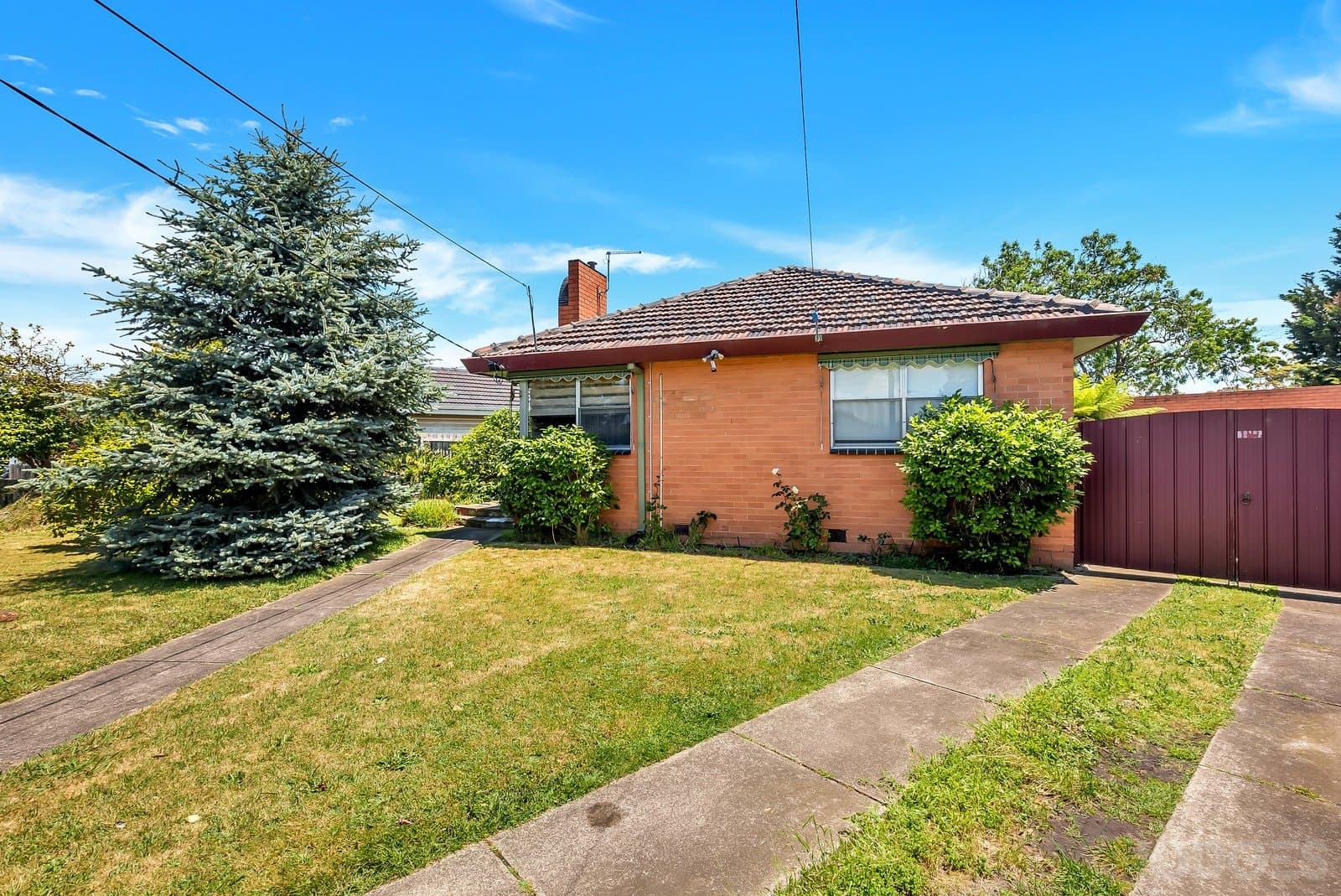 73 Elsie Grove, Edithvale, VIC, 3196, Edithvale - Thumbnail 4