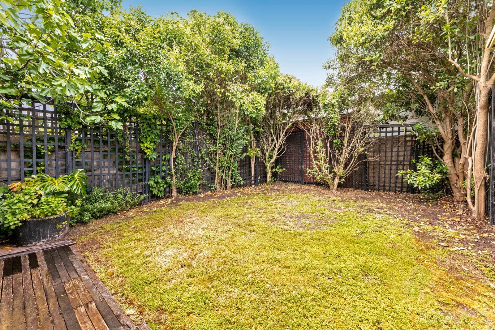 24 Durrant Street, Brighton, VIC, 3186, Brighton - Thumbnail 8
