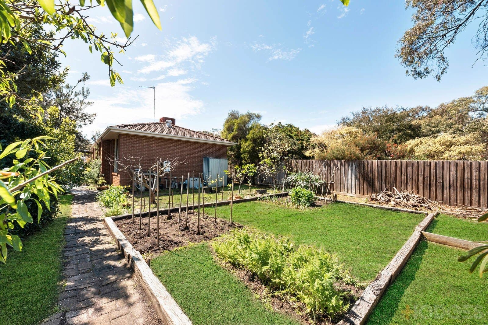 224 Thacker Street, Ocean Grove, VIC, 3226, Ocean Grove - Thumbnail 2