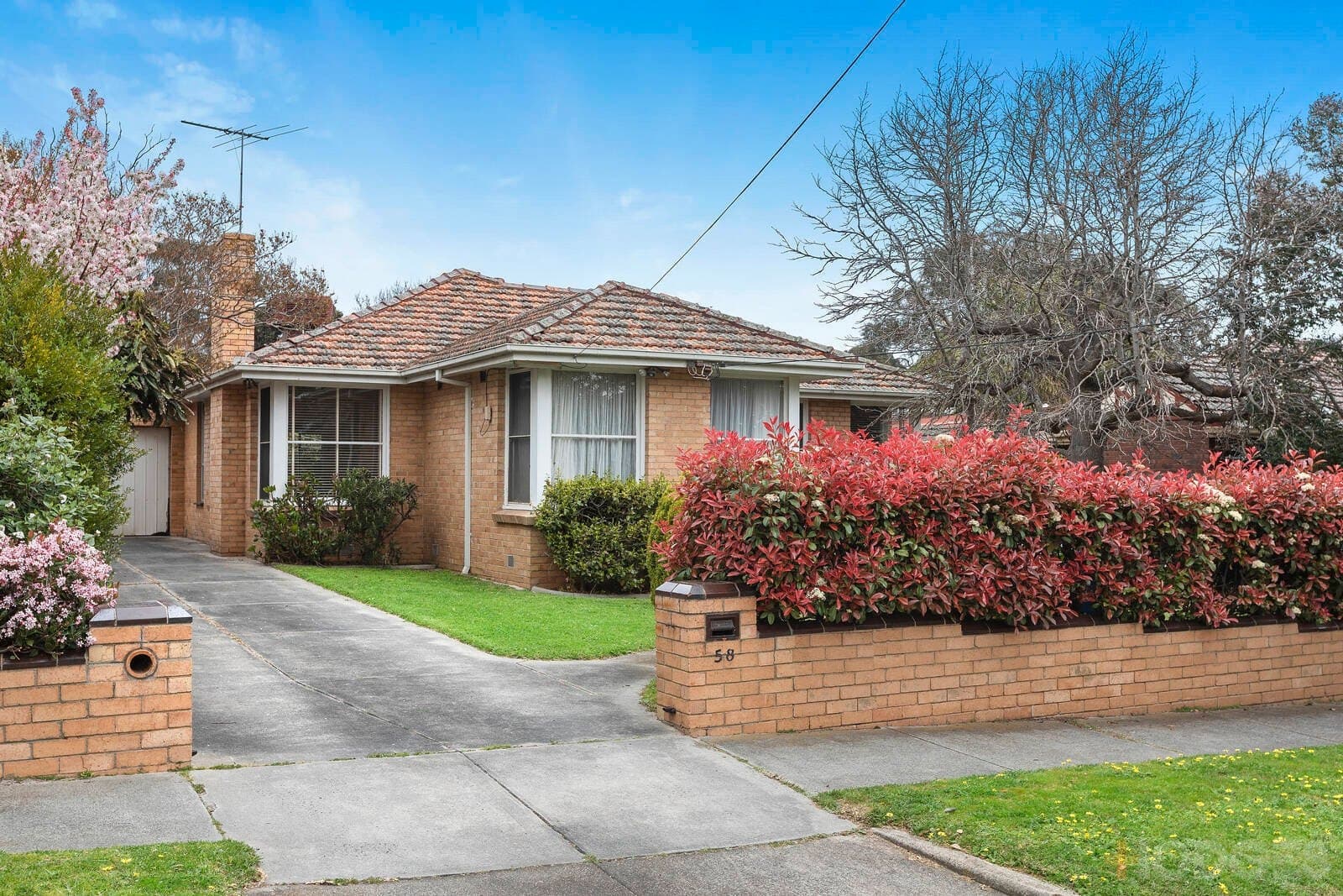 58 Potter Street, Black Rock, VIC, 3193, Black Rock - Thumbnail 2