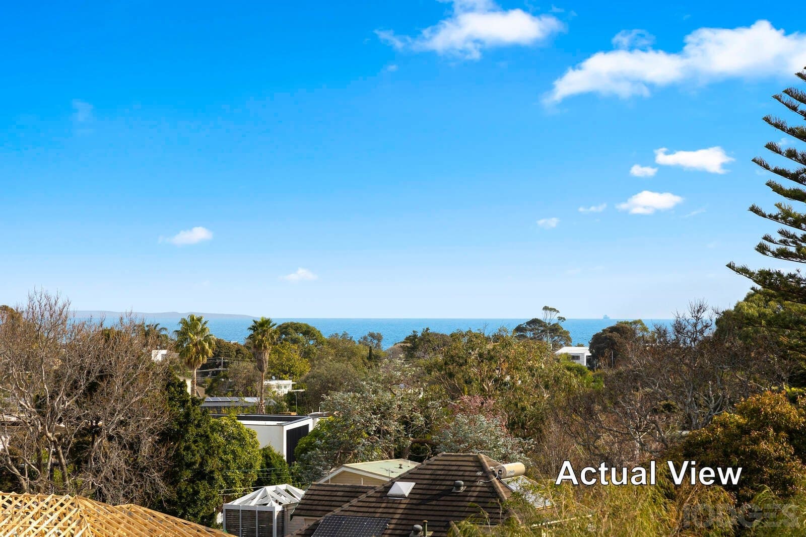 22 Hilton Street, Beaumaris, VIC, 3193, Beaumaris - Thumbnail 3