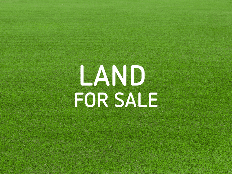 803/28B																										Northumberland Rd
														
								Auburn, NSW 2144, Spring Farm - Thumbnail 4