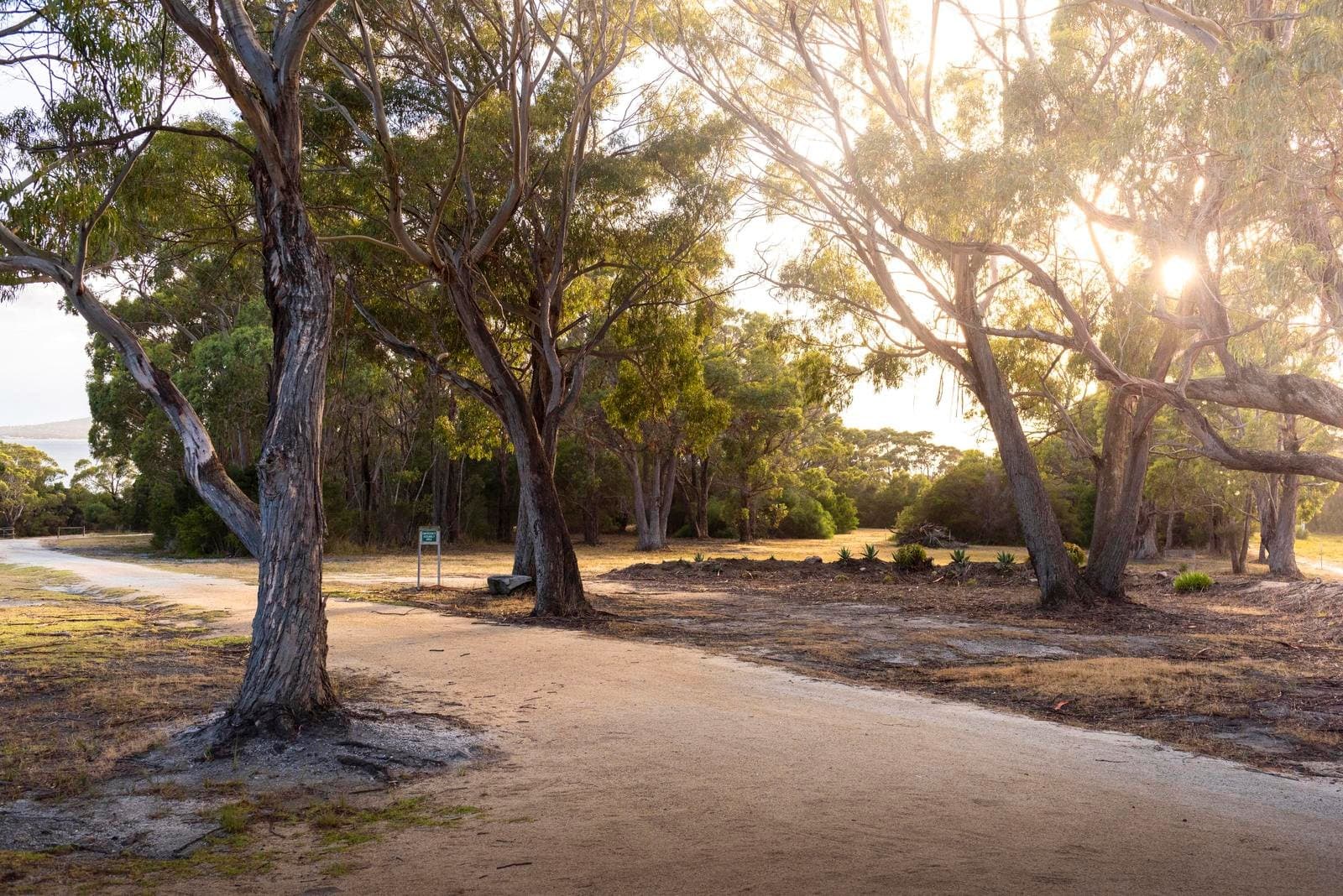 180 Badger Corner Road, Lady Barron, Lady Barron - Thumbnail 4