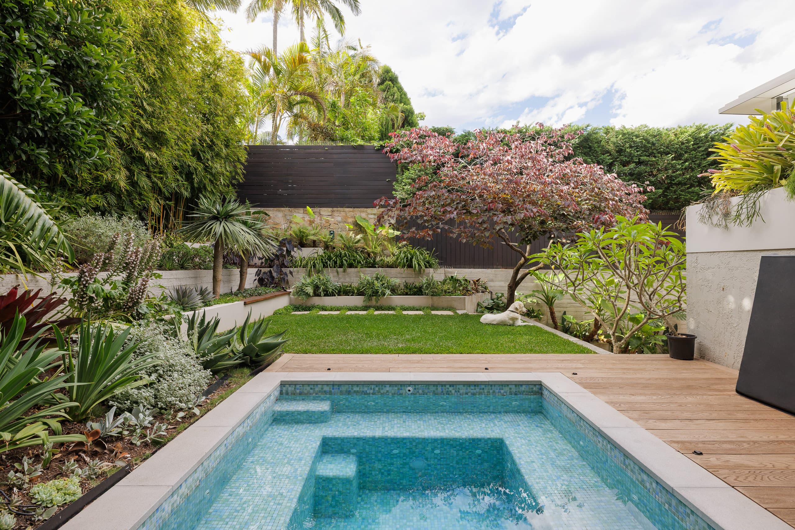 111 Manning Road, Woollahra - Thumbnail 3