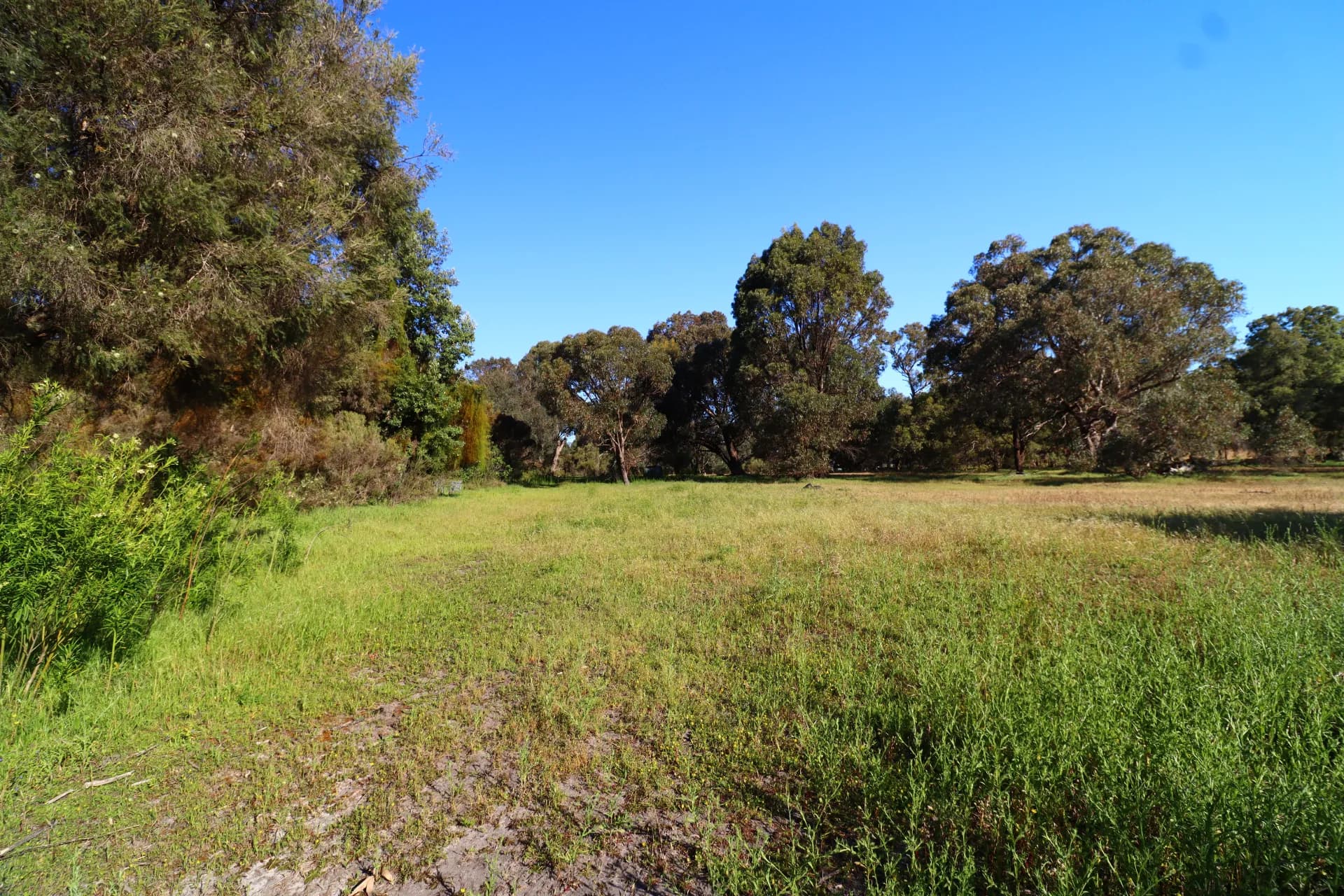 47 Outridge Road, Baldivis, WA, Baldivis - Thumbnail 5