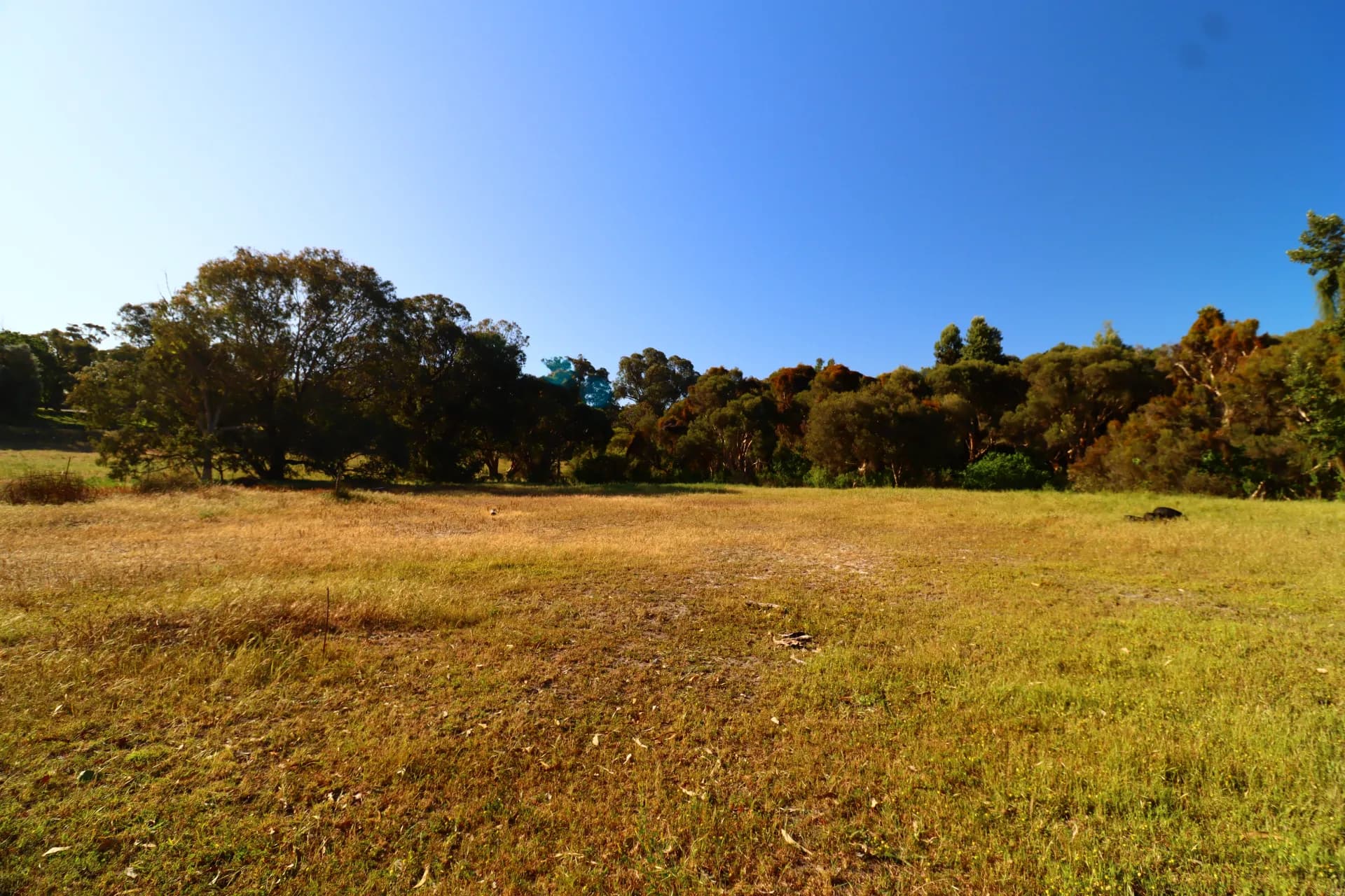 47 Outridge Road, Baldivis, WA, Baldivis - Thumbnail 6