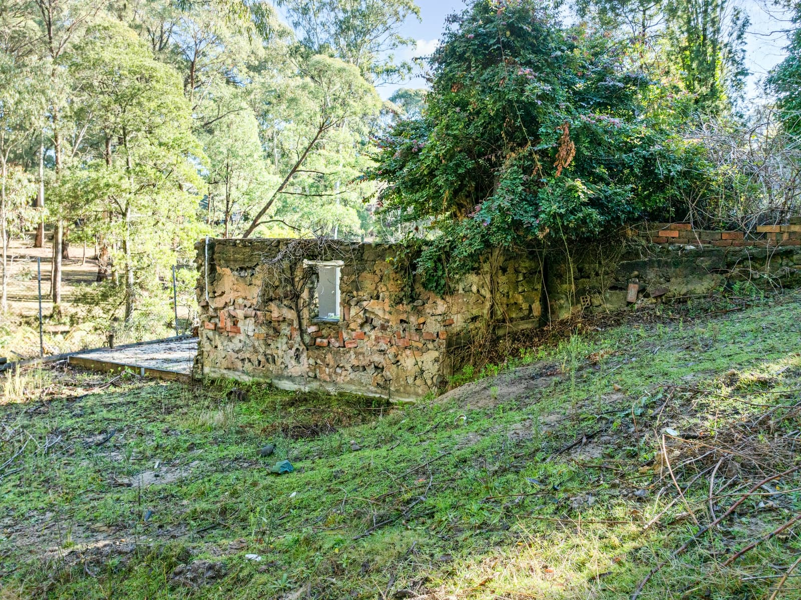 65 Rosella Street, SAWMILL SETTLEMENT, Sawmill Settlement - Thumbnail 6
