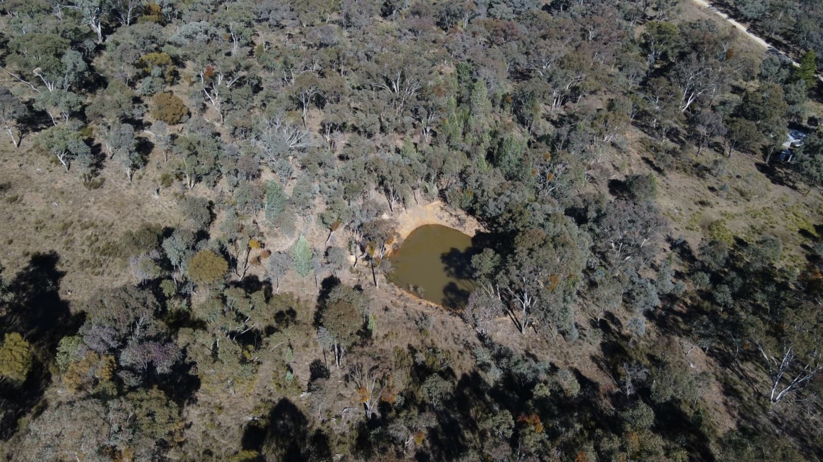 206 Roberts Road, MUDGEE, Grattai - Thumbnail 7