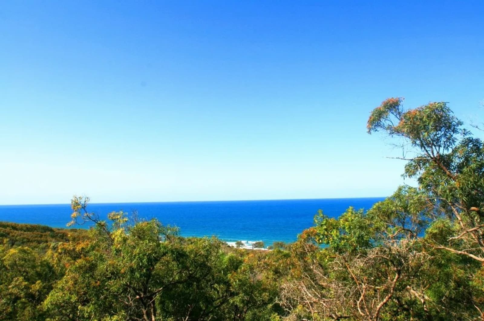 Bloodwood Ave Street, AGNES WATER, Agnes Water - Thumbnail 4