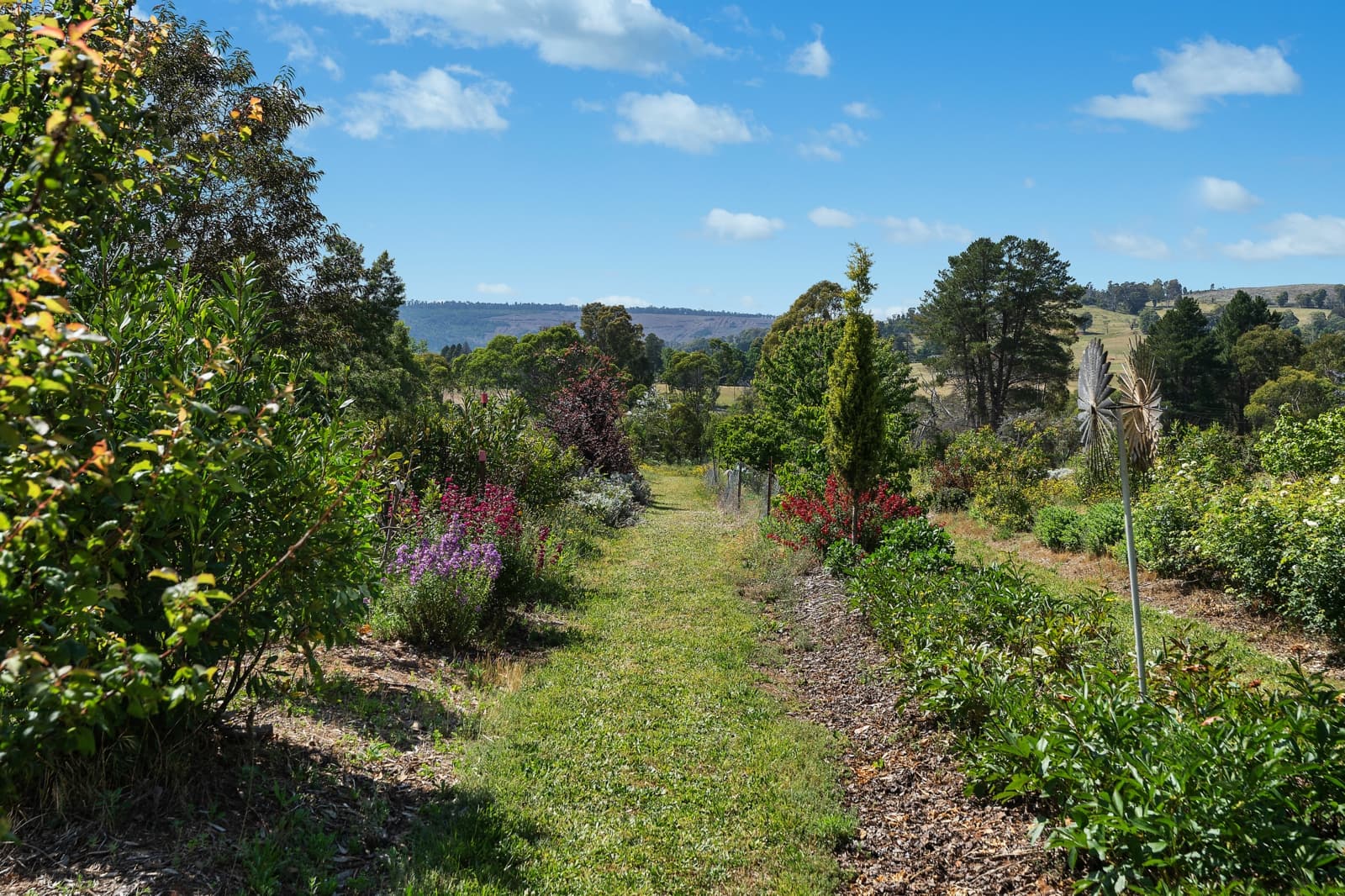 107 Mill Road, BATLOW, Batlow - Thumbnail 4