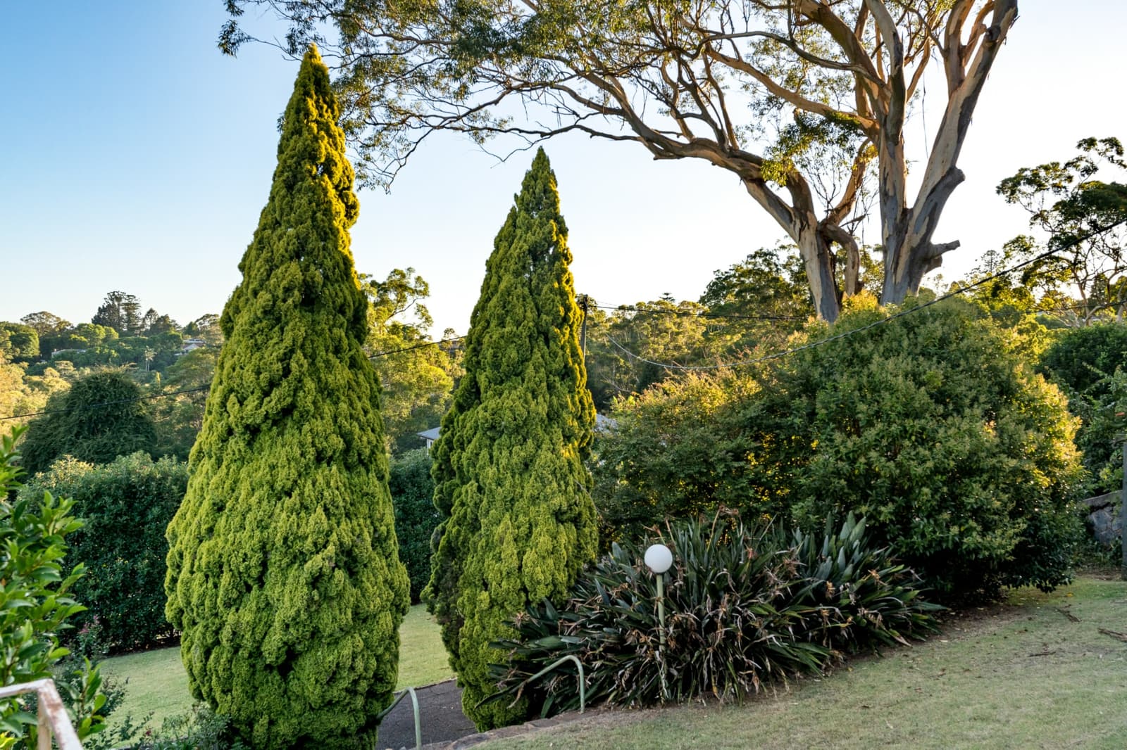 7. Brodie Street, MOUNT LOFTY, Mount Lofty - Thumbnail 5