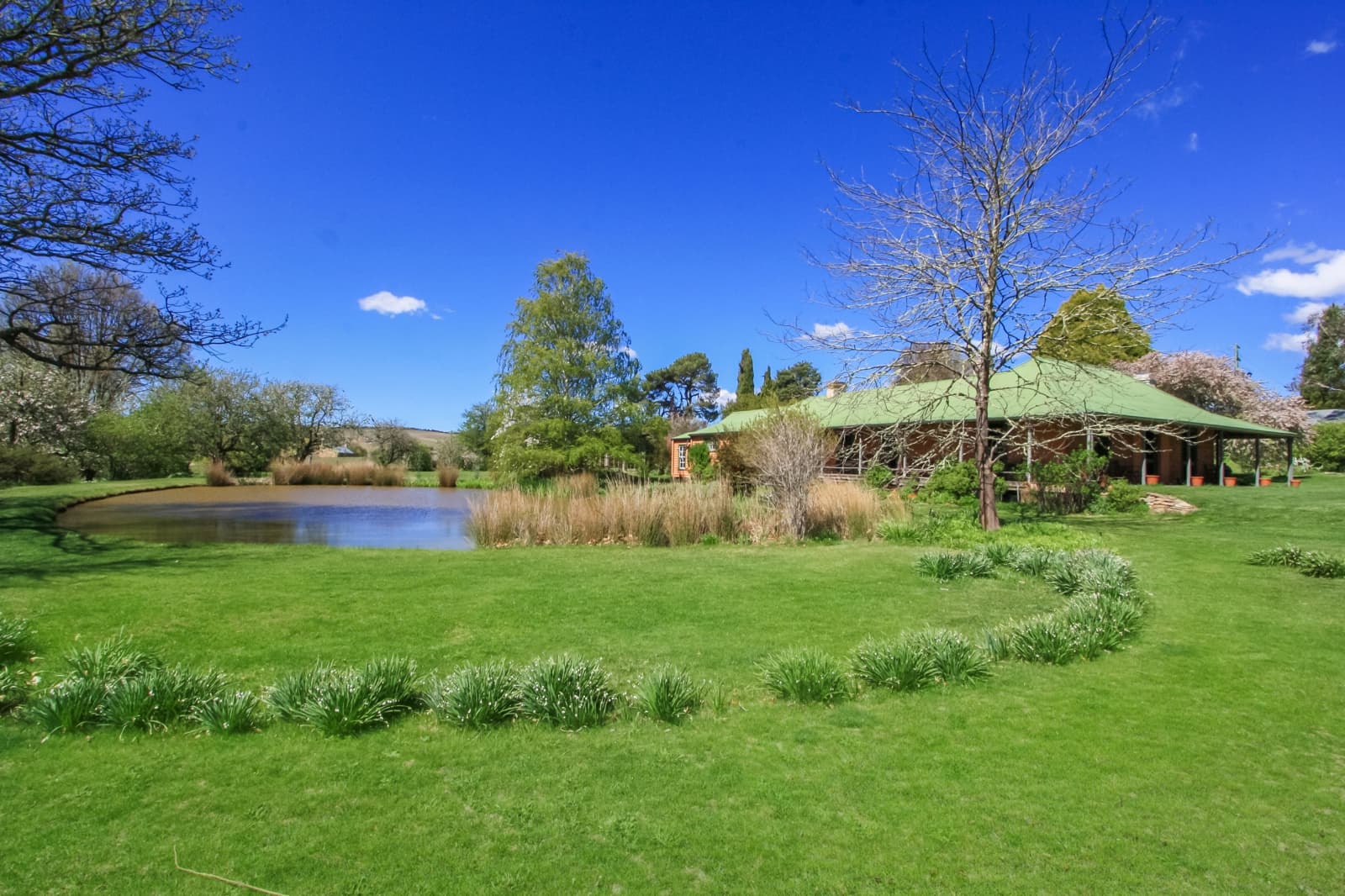 171 Big Flat Road, BOMBALA, Craigie - Thumbnail 2