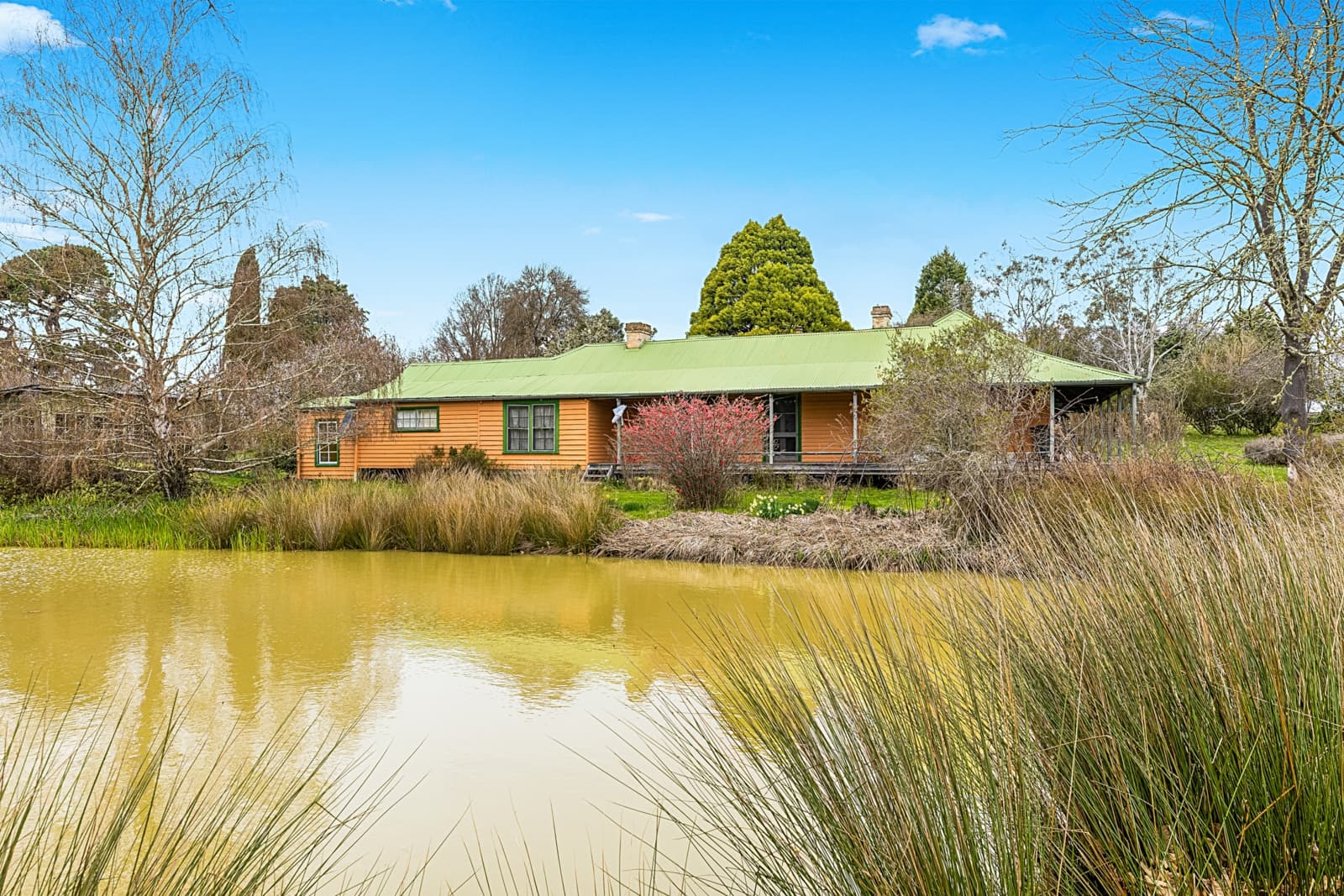171 Big Flat Road, BOMBALA, Craigie - Thumbnail 3