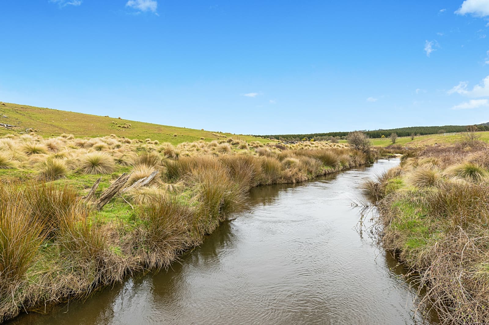 171 Big Flat Road, BOMBALA, Craigie - Thumbnail 4