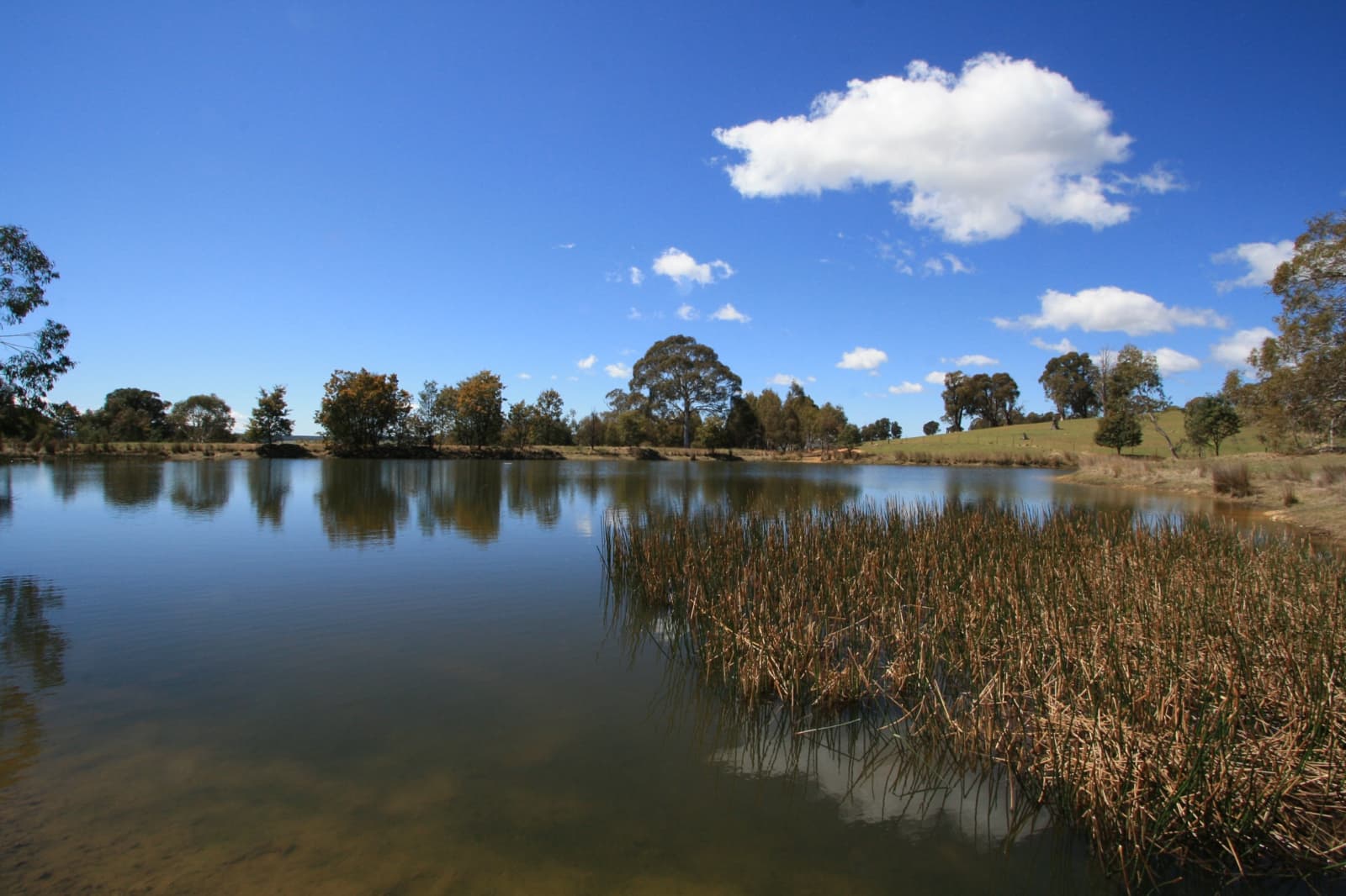 171 Big Flat Road, BOMBALA, Craigie - Thumbnail 5