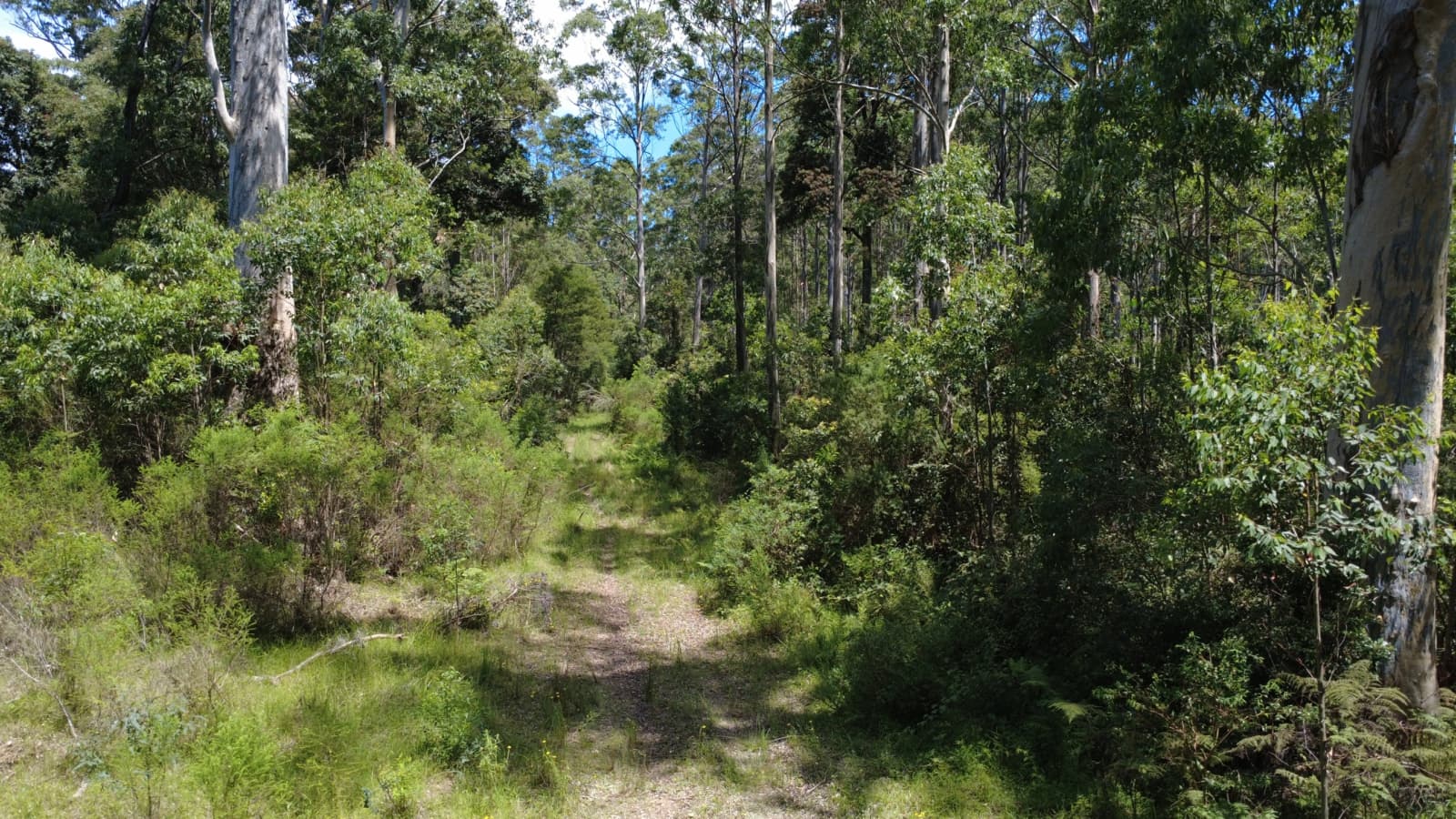 Baxters Ridge Road, GLOUCESTER, Gloucester - Thumbnail 2