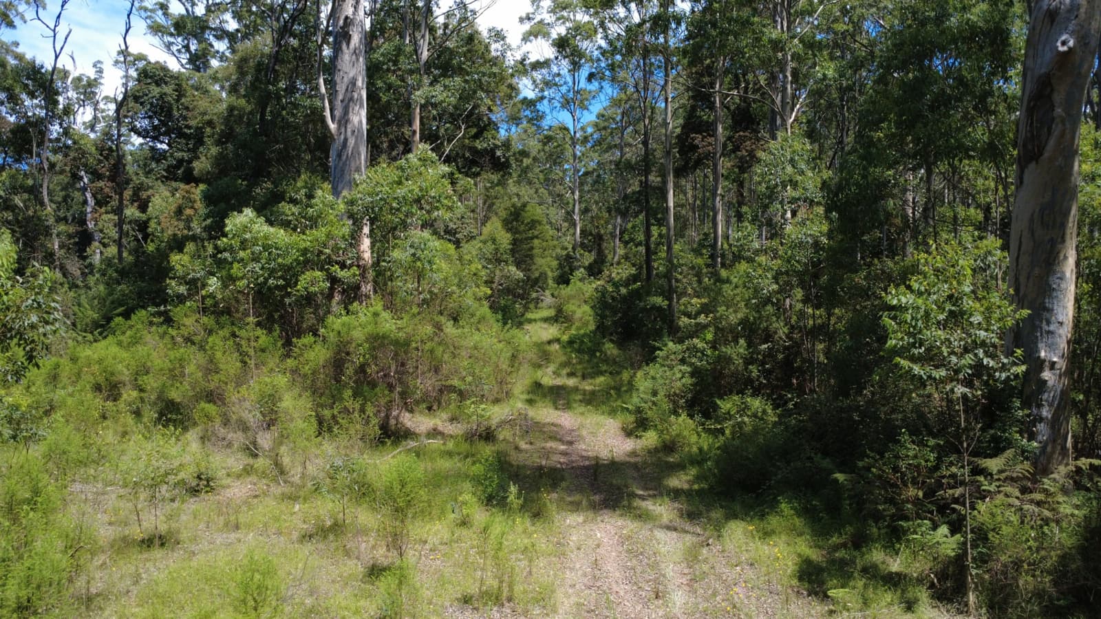 Baxters Ridge Road, GLOUCESTER, Gloucester - Thumbnail 3