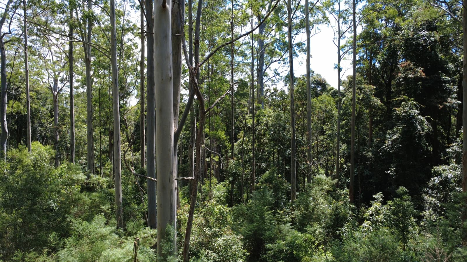 Baxters Ridge Road, GLOUCESTER, Gloucester - Thumbnail 4