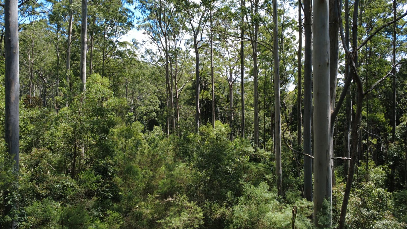 Baxters Ridge Road, GLOUCESTER, Gloucester - Thumbnail 6