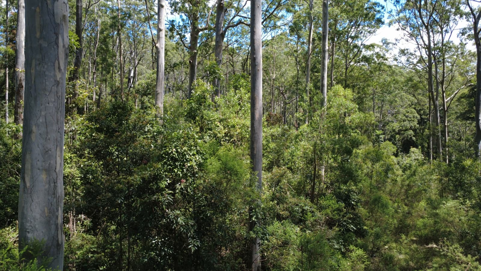 Baxters Ridge Road, GLOUCESTER, Gloucester - Thumbnail 7