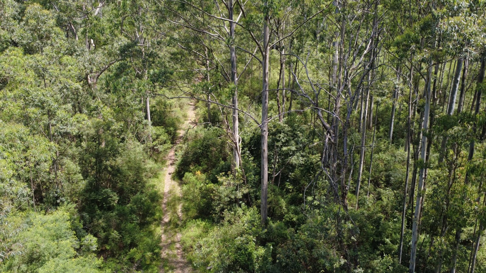 Baxters Ridge Road, GLOUCESTER, Gloucester - Thumbnail 8