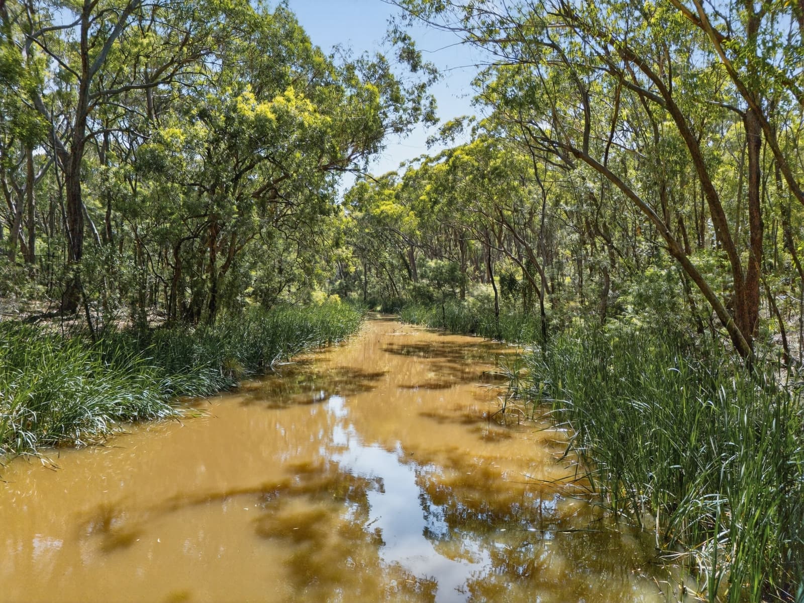 32 Willow Brook Place, TENNYSON, Tennyson - Thumbnail 2
