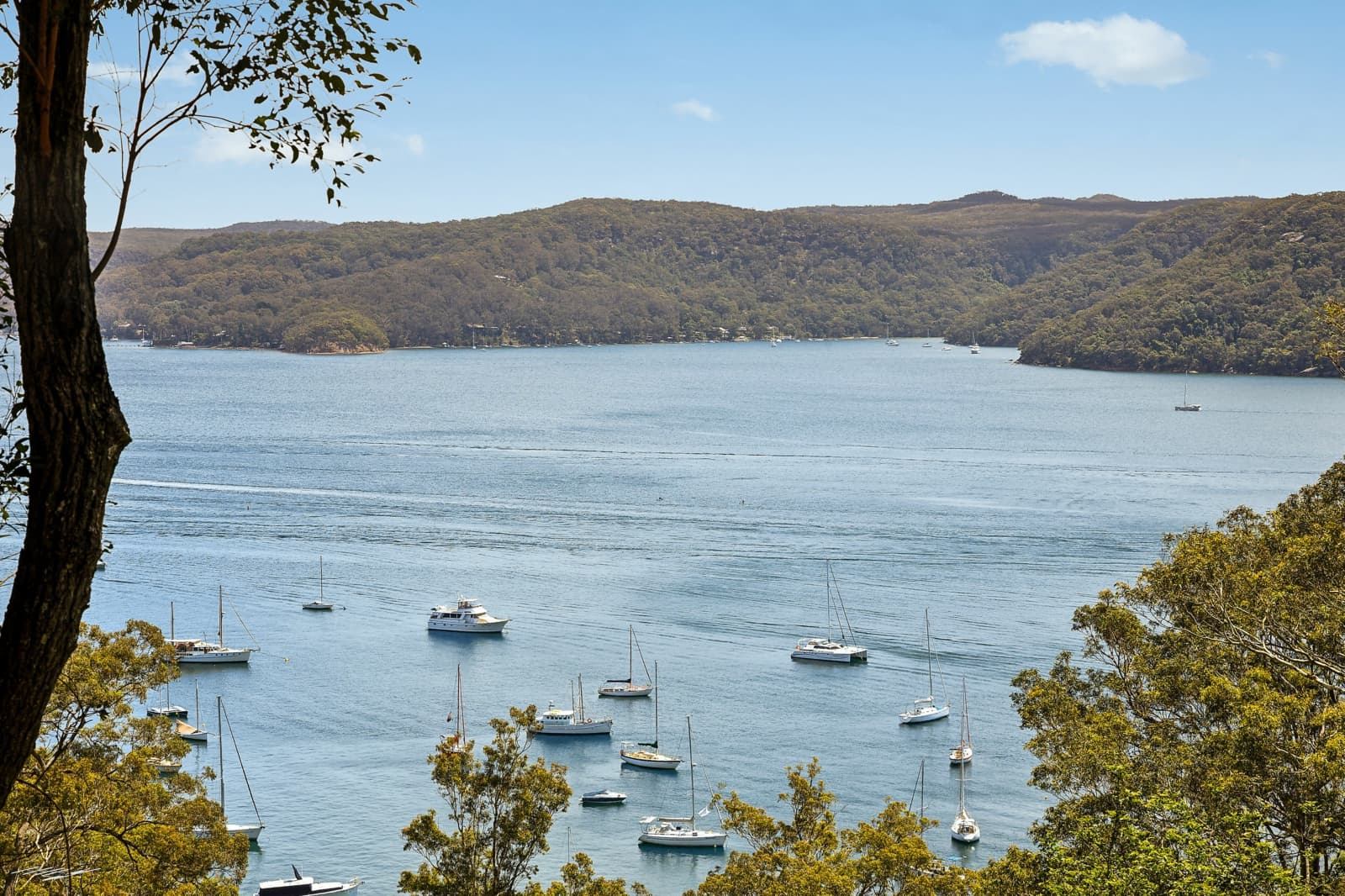 64 Riverview Road, AVALON BEACH, Avalon Beach - Thumbnail 8