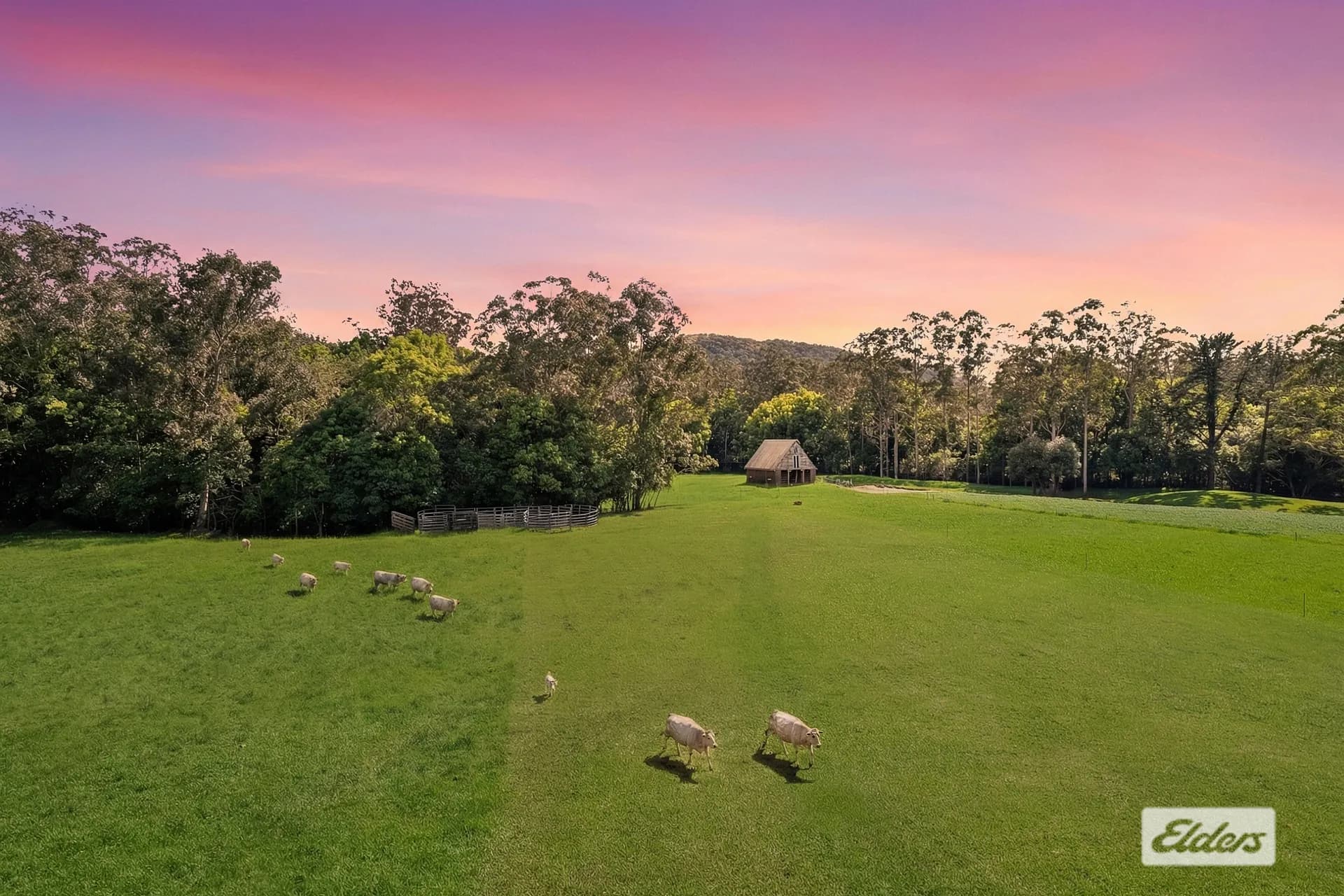 1555 Yarramalong Road, Yarramalong, NSW, 2259, Yarramalong - Thumbnail 3