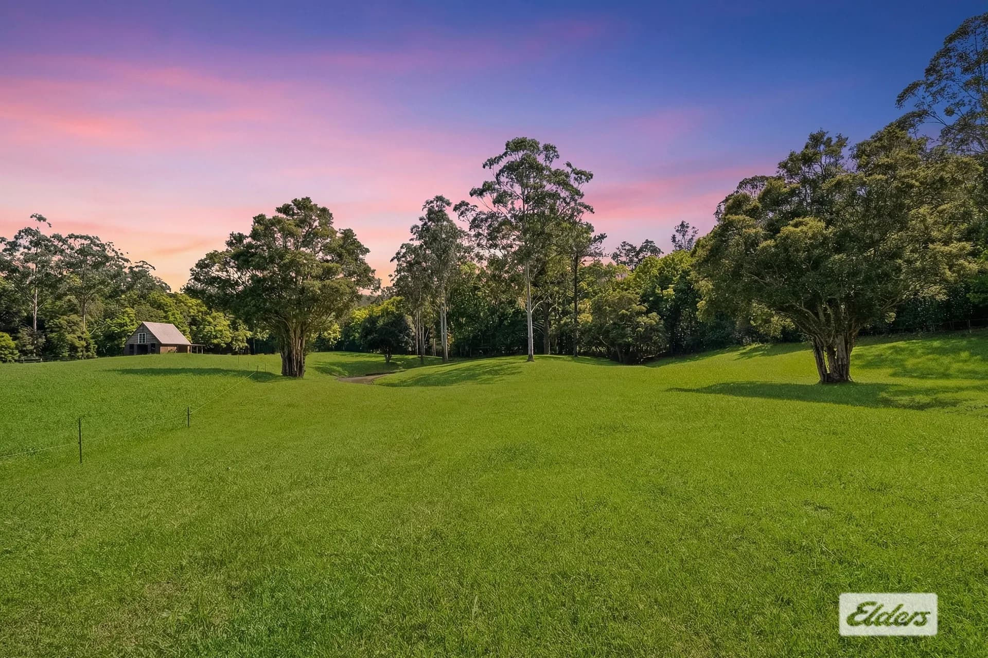 1555 Yarramalong Road, Yarramalong, NSW, 2259, Yarramalong - Thumbnail 8