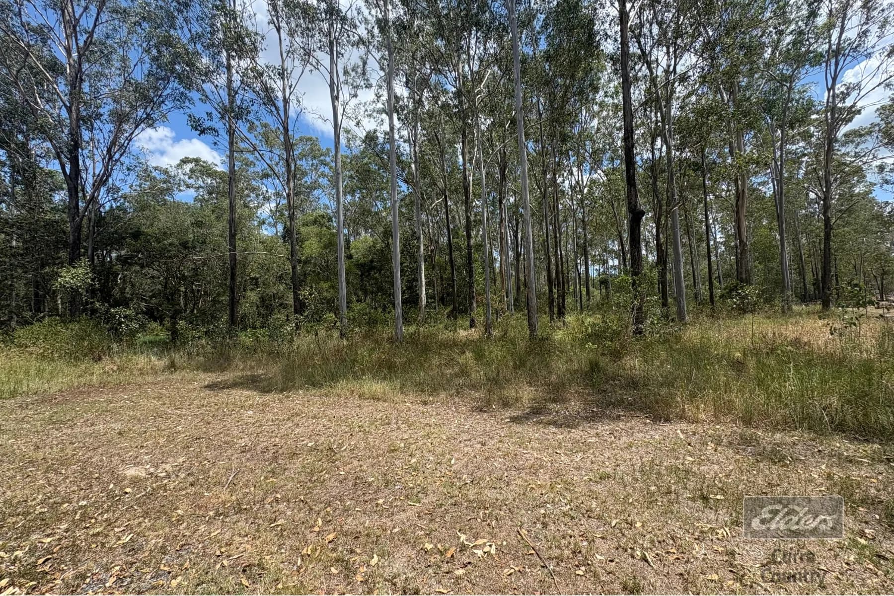 Lot 140 Daniel Road, Bauple, QLD, 4650, Bauple - Image 1