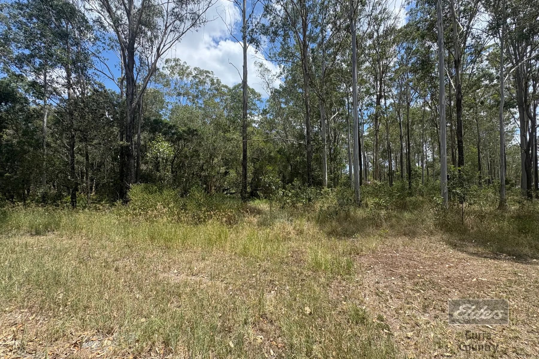 Lot 140 Daniel Road, Bauple, QLD, 4650, Bauple - Thumbnail 3