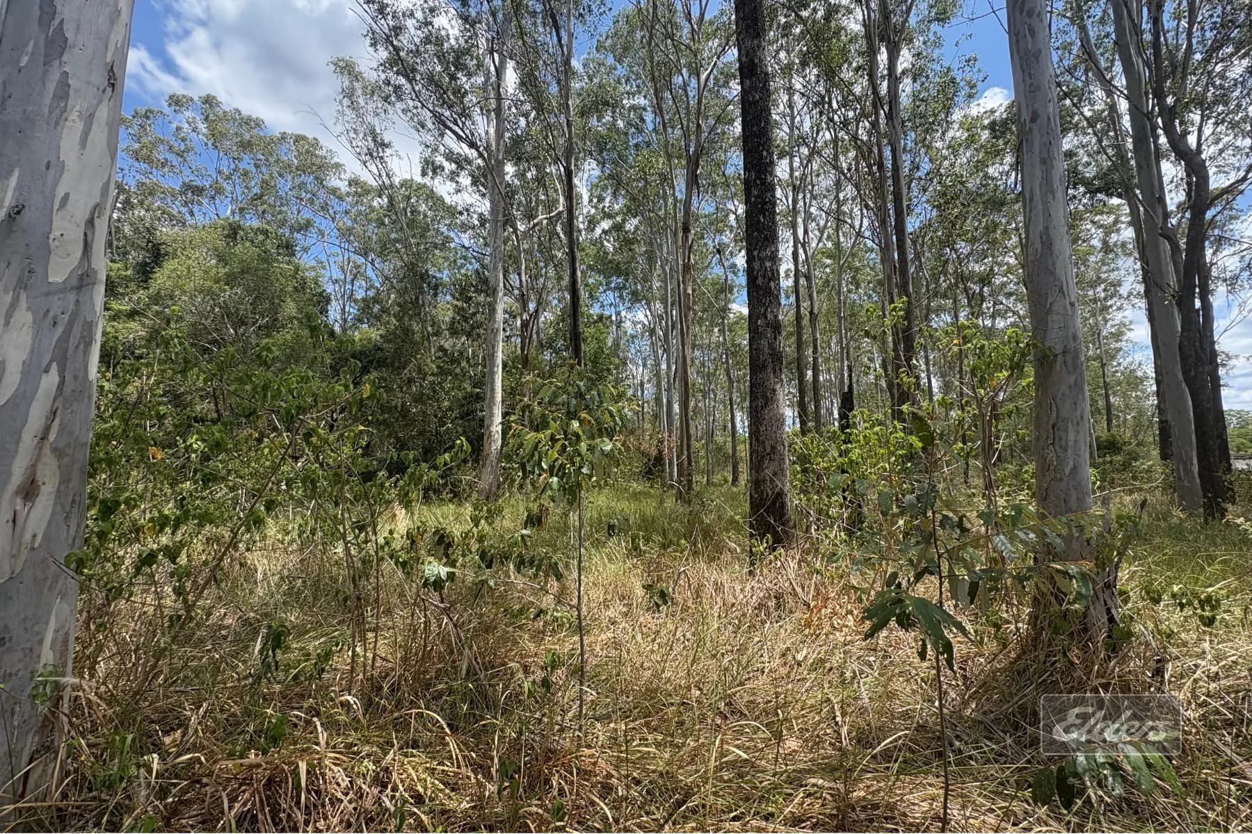 Lot 140 Daniel Road, Bauple, QLD, 4650, Bauple - Thumbnail 4