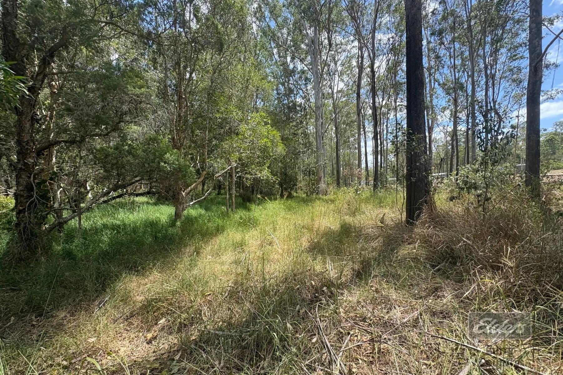 Lot 140 Daniel Road, Bauple, QLD, 4650, Bauple - Thumbnail 5