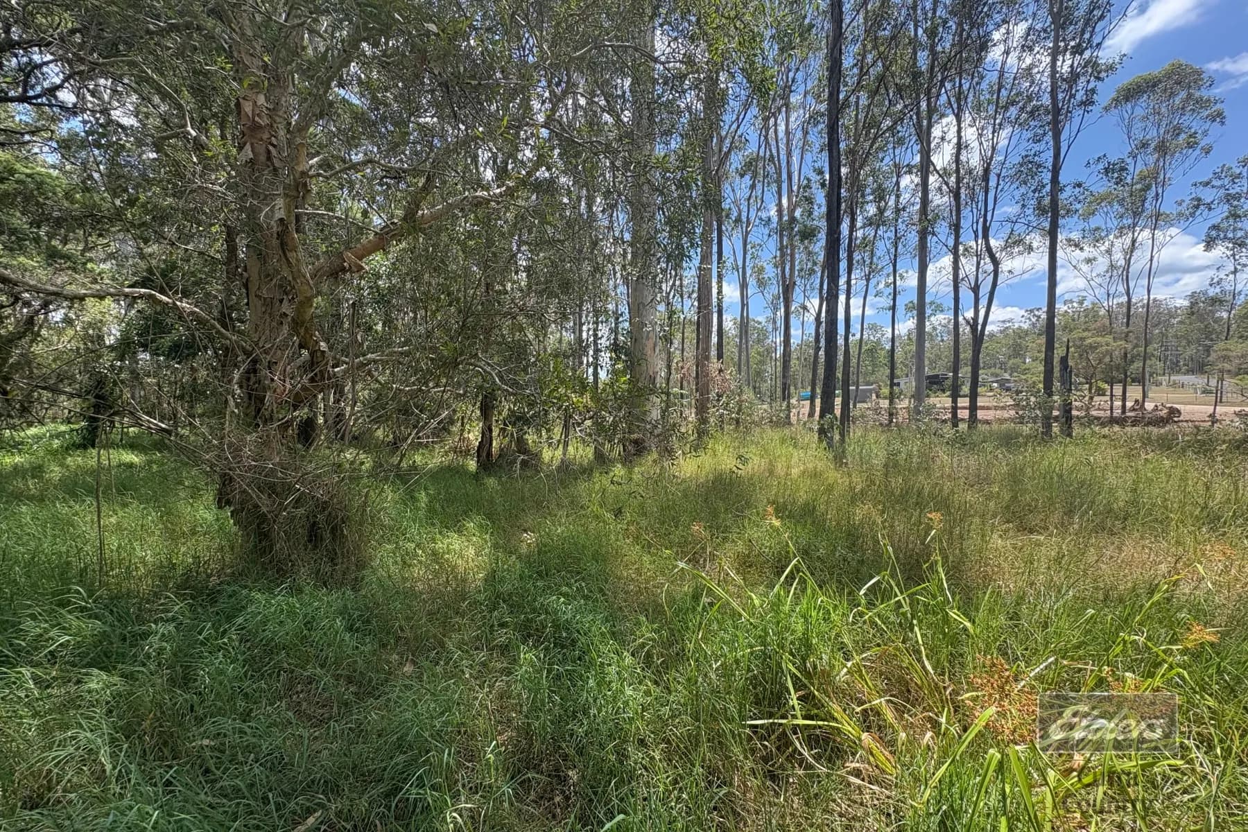 Lot 140 Daniel Road, Bauple, QLD, 4650, Bauple - Thumbnail 6