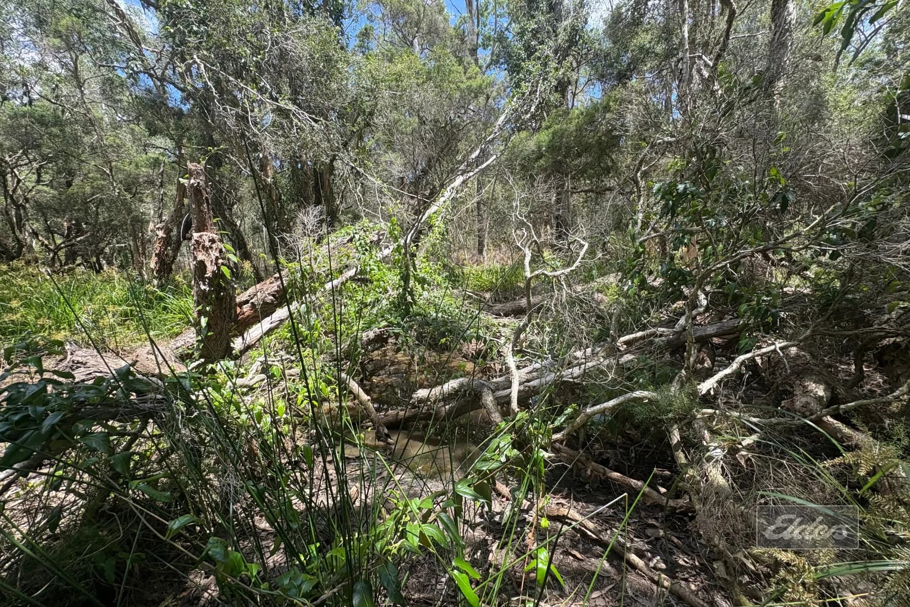 Lot 140 Daniel Road, Bauple, QLD, 4650, Bauple - Thumbnail 7