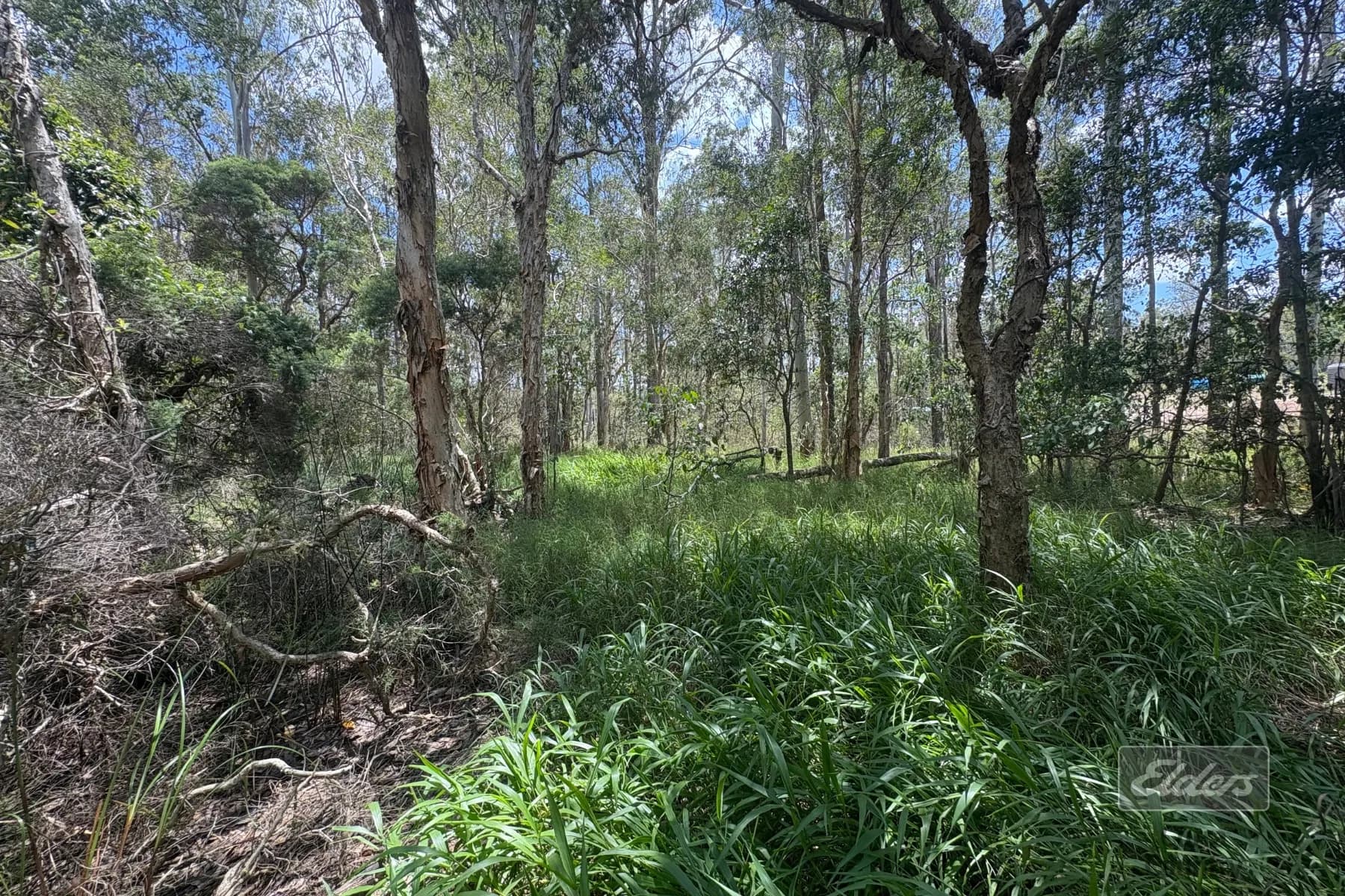 Lot 140 Daniel Road, Bauple, QLD, 4650, Bauple - Thumbnail 8