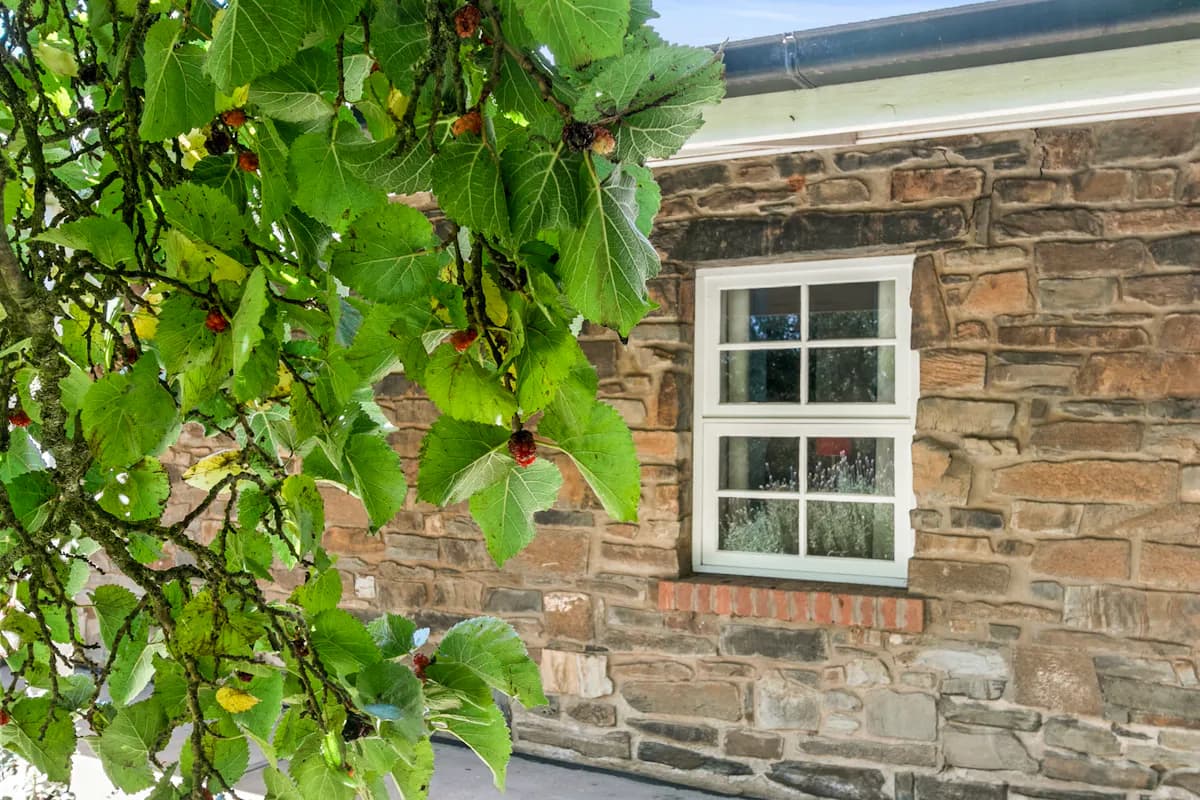 5 Penglawdd Street, Burra, SA, 5417, Burra - Thumbnail 5