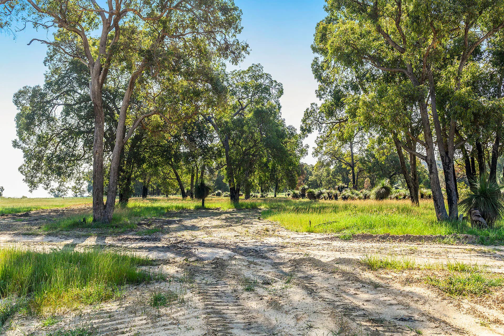 Guernsey Rise, Lower Chittering, WA, 6084, Lower Chittering - Thumbnail 8