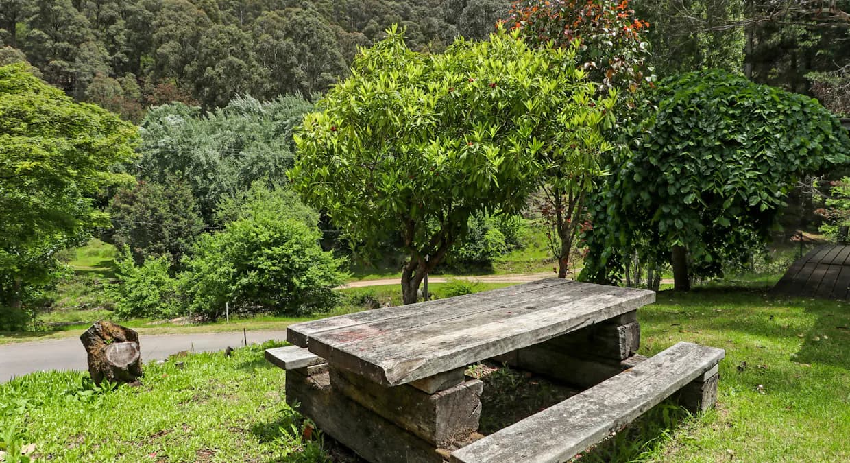 1 Scott Street, Woods Point, VIC, 3723, Woods Point - Thumbnail 6
