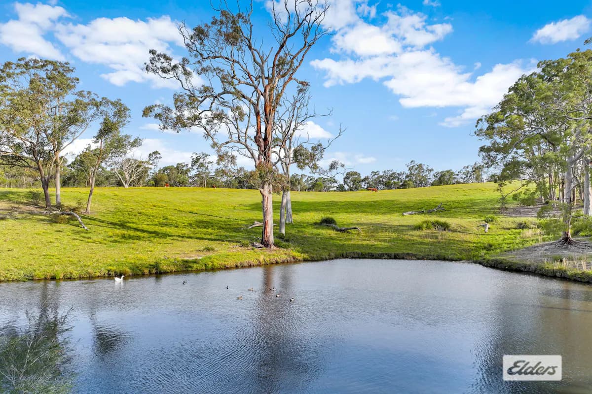 735 Ironbark Road, Mangrove Mountain, NSW, 2250, Mangrove Mountain - Thumbnail 3