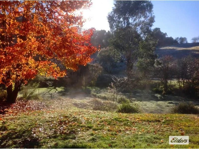 10 Mineral Lane, Yackandandah - Thumbnail 6