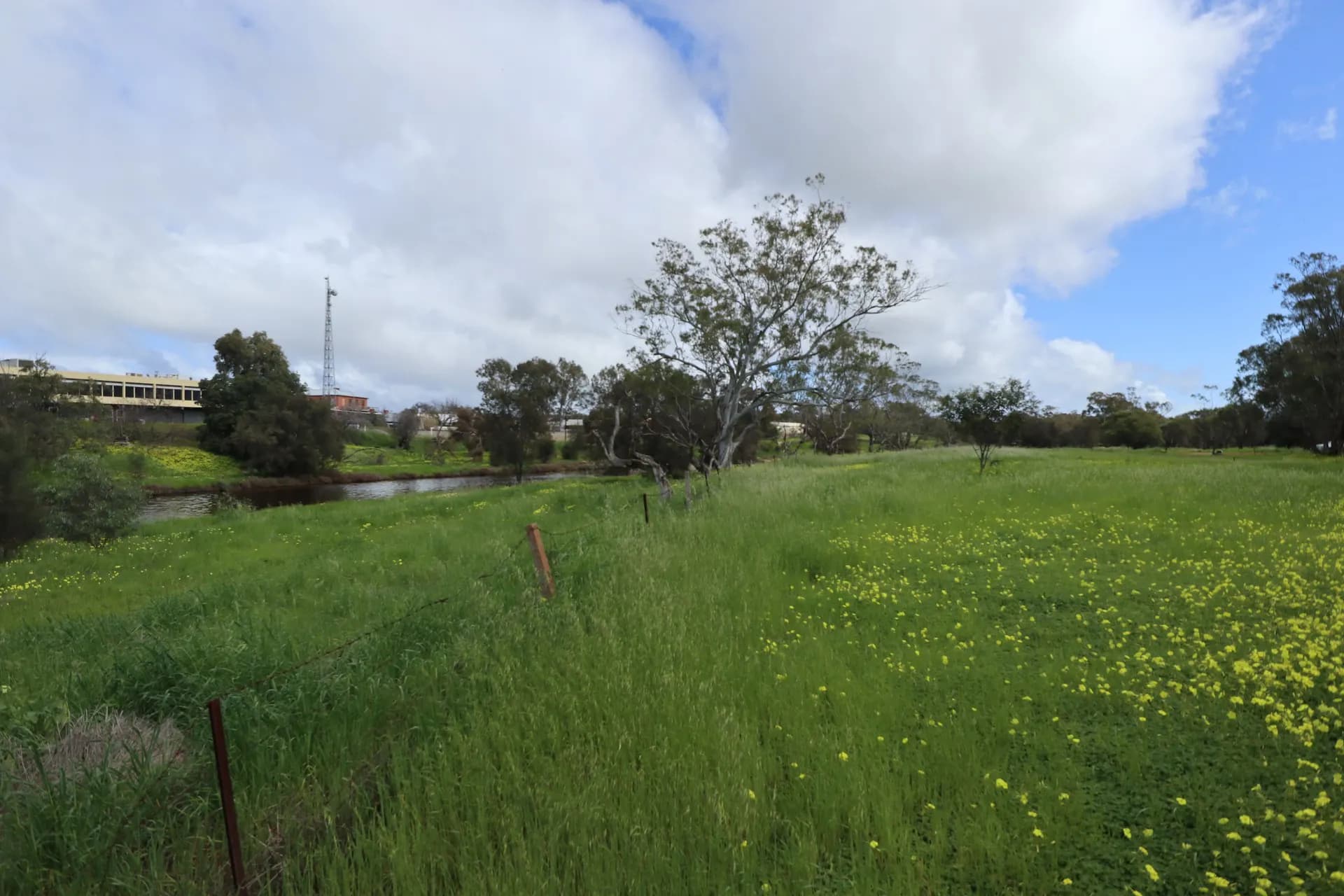 15 Esperance Street, Northam, WA, 6401, Northam - Thumbnail 8