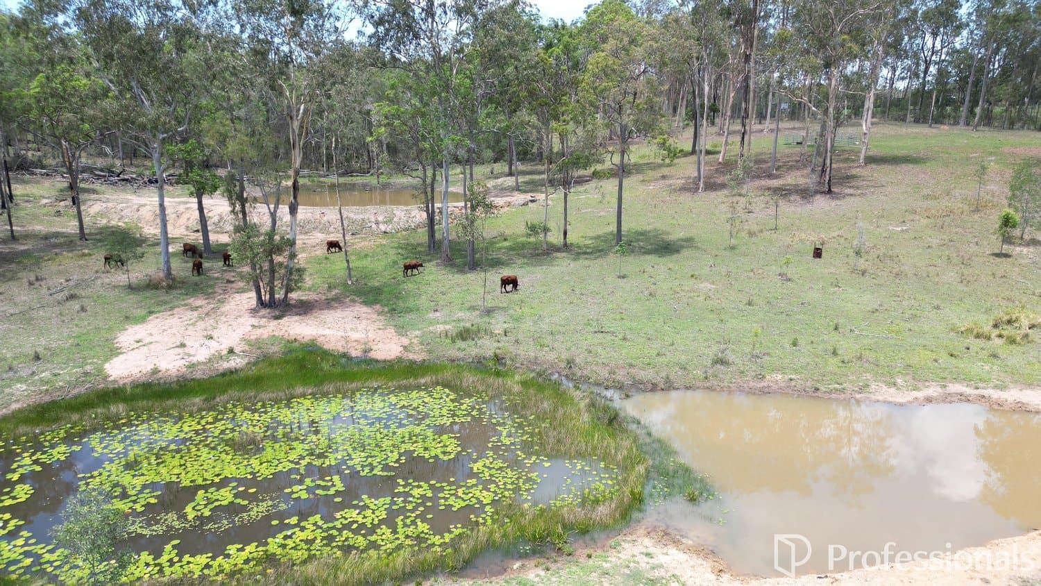 1 Old Gympie Road, Owanyilla QLD 4650, Owanyilla - Image 1